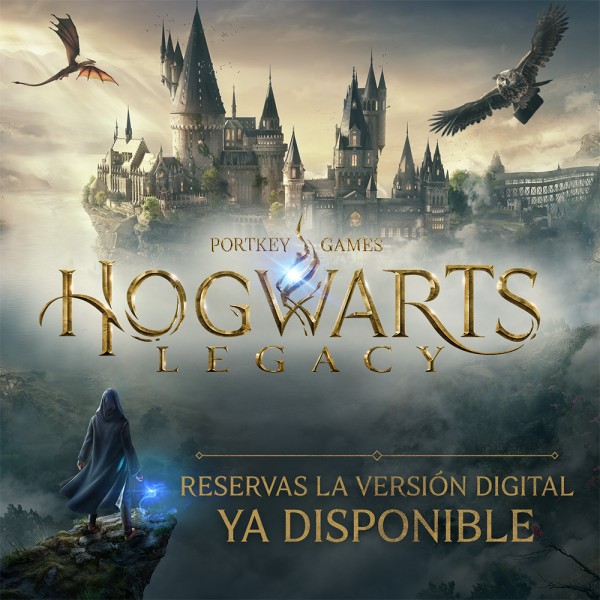 hoghwarts legacy cover image, the protagonist looking at hogwarts castle while a dragon and an owl are flying arownd